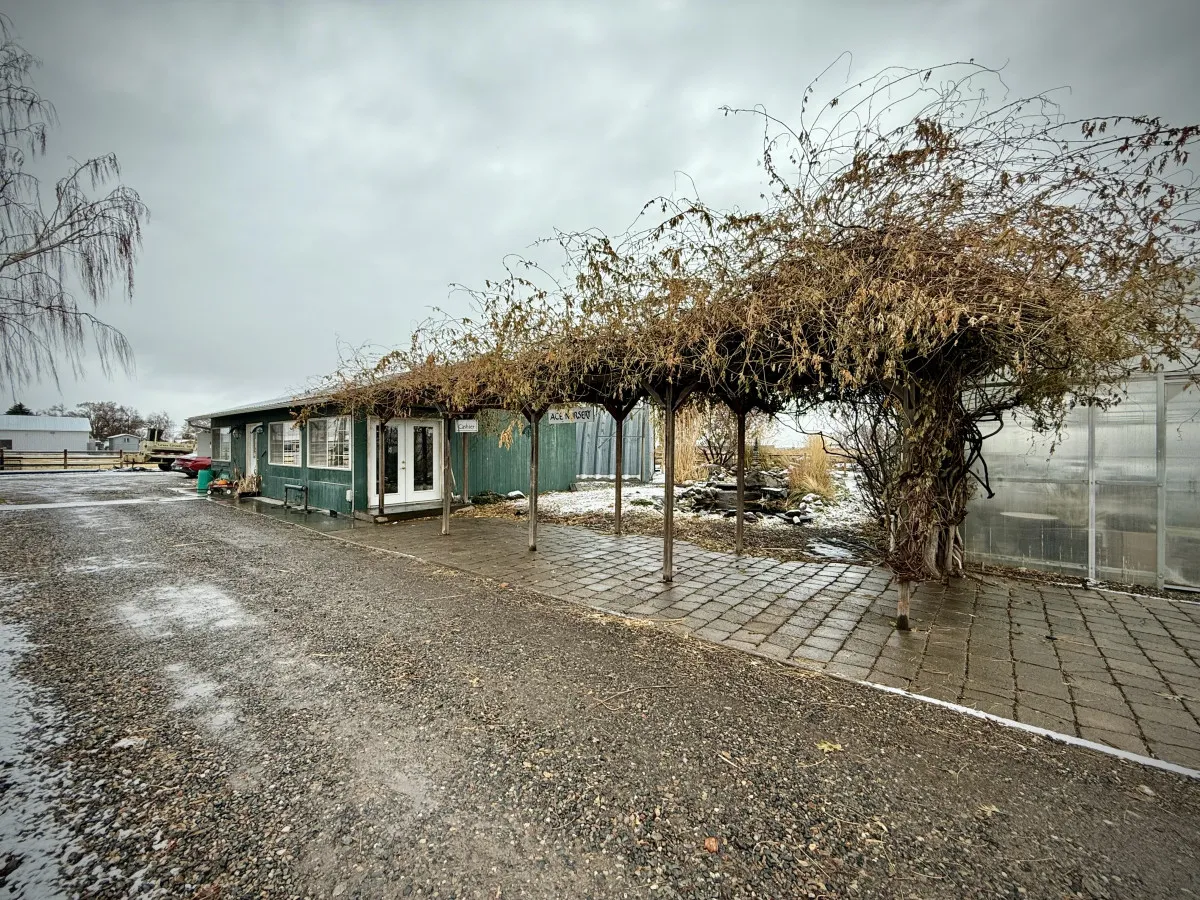 An inviting outdoor space with vines overhead, a cozy green building, a winding pathway, and the edges of a greenhouse. The area feels tranquil and ideal for quiet moments spent together, with natural elements that suggest seasonal changes.