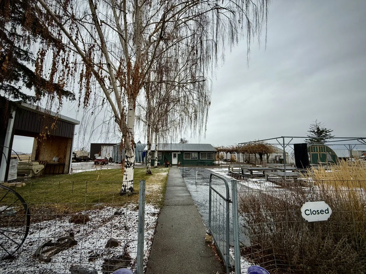 A tranquil winter scene featuring a birch tree, the main building, a softly winding pathway, and a closed sign. The ground is lightly covered in snow, evoking the peacefulness of an off-season retreat and the romance of winter.