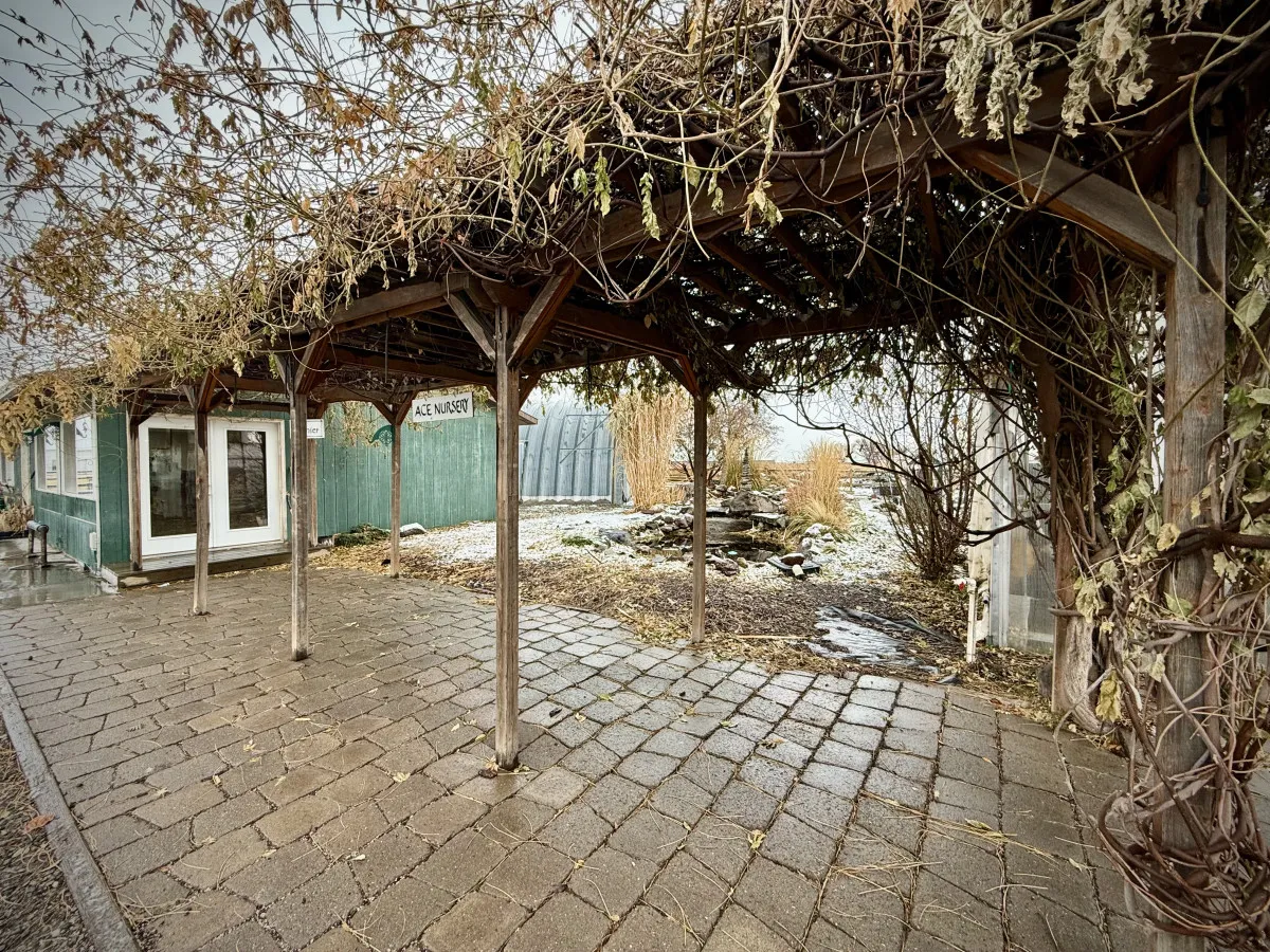This exterior image features a wooden structure covered in lush vines, a green building in the background, a tranquil pond area, and a paved walkway, all set in a serene nursery environment. The scene evokes a peaceful, nature-connected atmosphere.