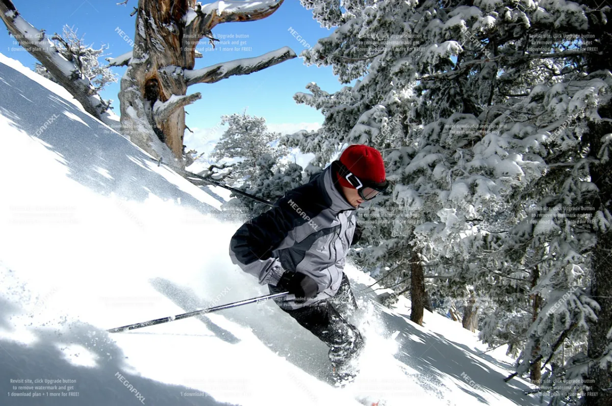 A skier enjoys the slopes, surrounded by snow-covered hills and pine trees, capturing the thrills and scenic beauty of Anthony Lakes. The image reflects an active and adventurous winter setting.