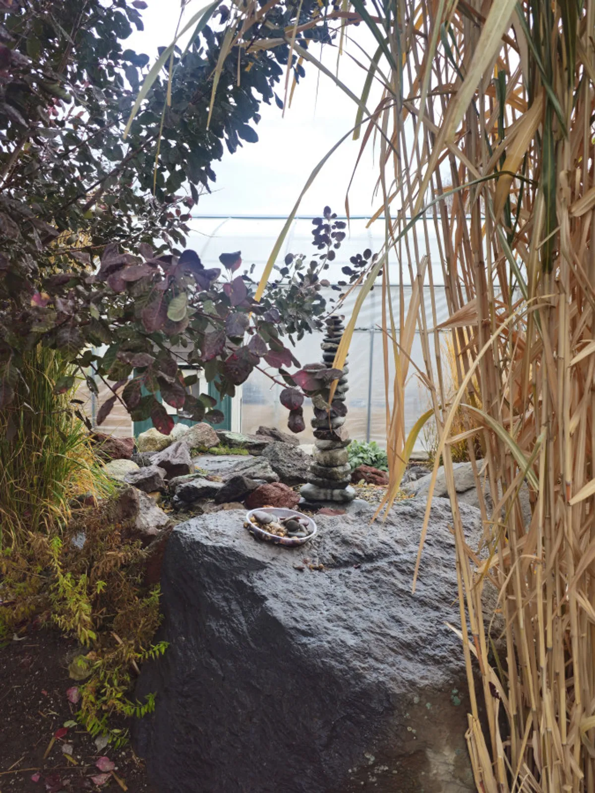 A calming garden nook featuring stacked stones, a rocky surface, a decorative plate with natural items, and lush foliage all around. The mood is serene, perfect for moments of quiet contemplation and connecting with nature's small wonders.
